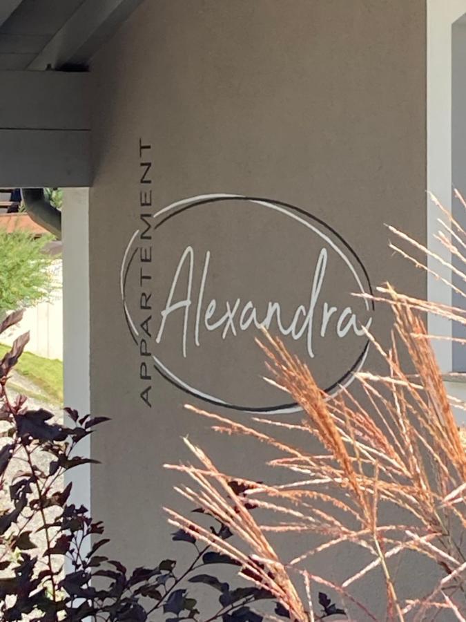Appartement Alexandra Neukirchen am Großvenediger Eksteriør billede